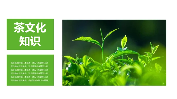 清新茶文化采茶茶道茶艺茶文化PPT模板