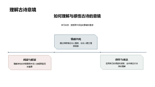 探索诗的华章