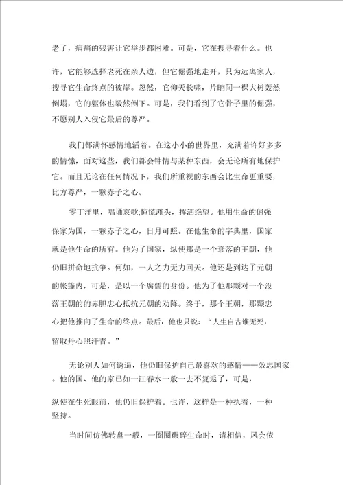 以执着为话题的高一作文800字多篇