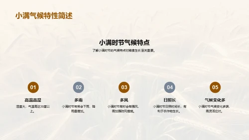 小满季节粮食科学管理