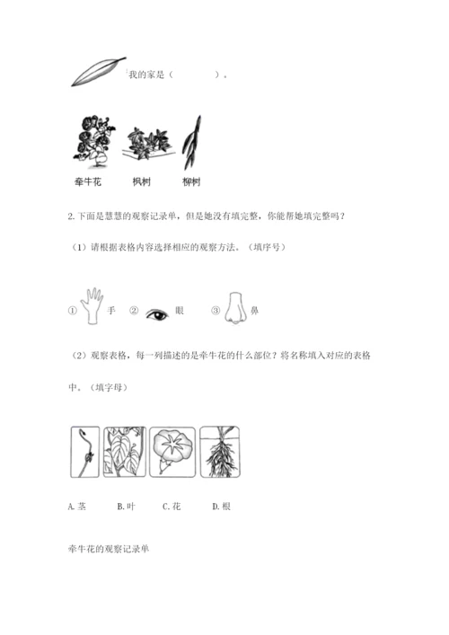 教科版科学一年级上册第一单元《植物》测试卷带答案（模拟题）.docx