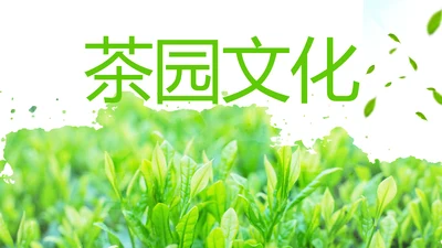 唯美绿色茶园文化茶叶品茶论道PPT模板