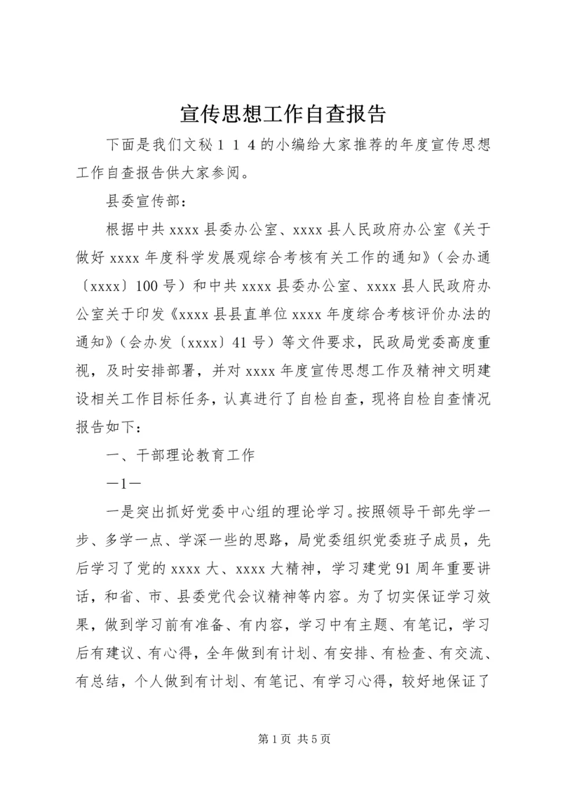 宣传思想工作自查报告 (4).docx