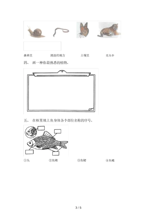 2021年教科版一年级科学上册期中考试【附答案】