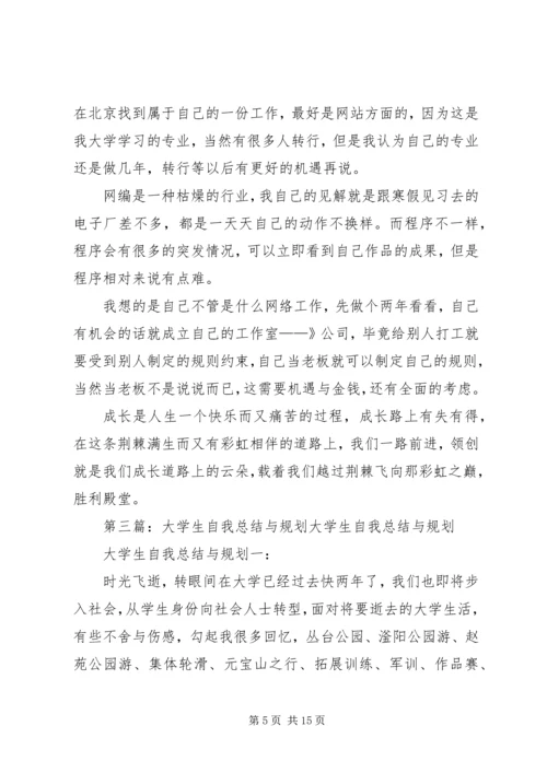 自我总结与自我规划.docx