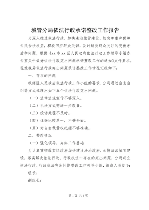 城管分局依法行政承诺整改工作报告.docx