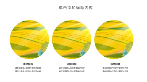 美丽新农村建设城镇优化振兴乡村PPT模板