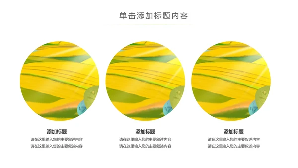 美丽新农村建设城镇优化振兴乡村PPT模板