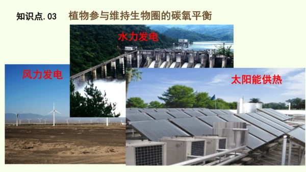 3.2.4植物在自然界中的作用-七年级生物下学期同步精品课件（2024人教版）(共27张PPT)