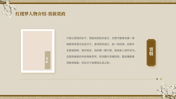 褐色复古中国风中国四大名著之红楼梦人物介绍PPT