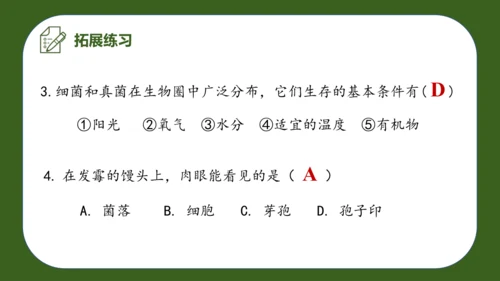 人教版生物七年级上册2.3.1《微生物的分布》（教学课件）(共37张PPT)+视频素材