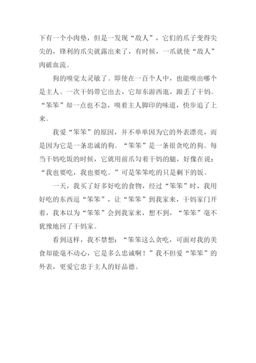 我爱小狗作文400字.docx