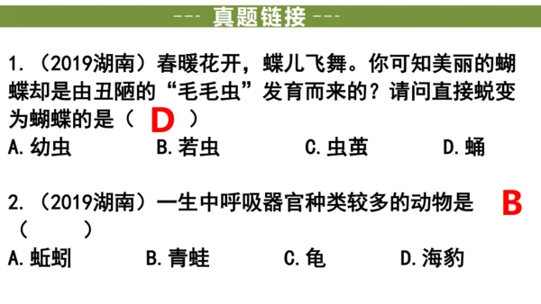 八下 第七单元复习课件(共58张PPT)