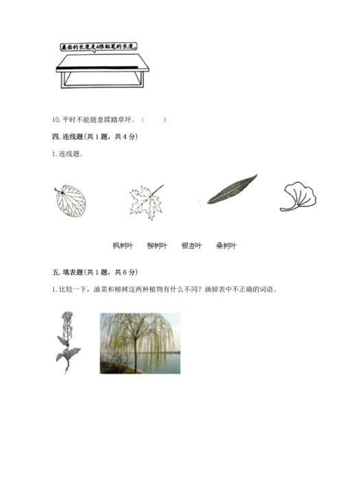 教科版一年级上册科学期末测试卷【a卷】.docx