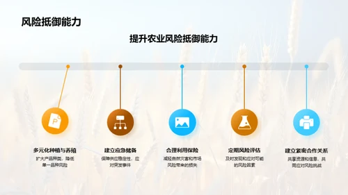 农业经营分析与策略