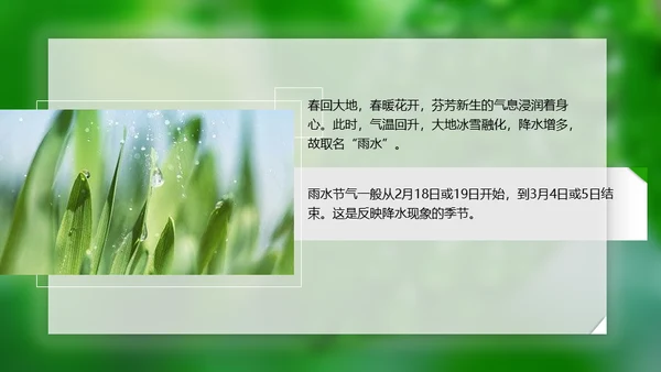 春天雨水绿叶晨露二十四节气通用PPT课件