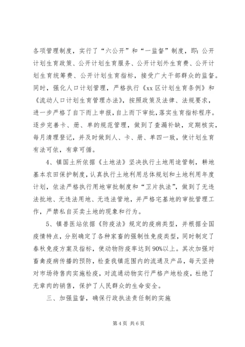 乡镇年度推进行政执法工作总结.docx