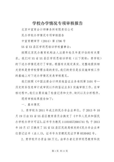 学校办学情况专项审核报告 (3).docx