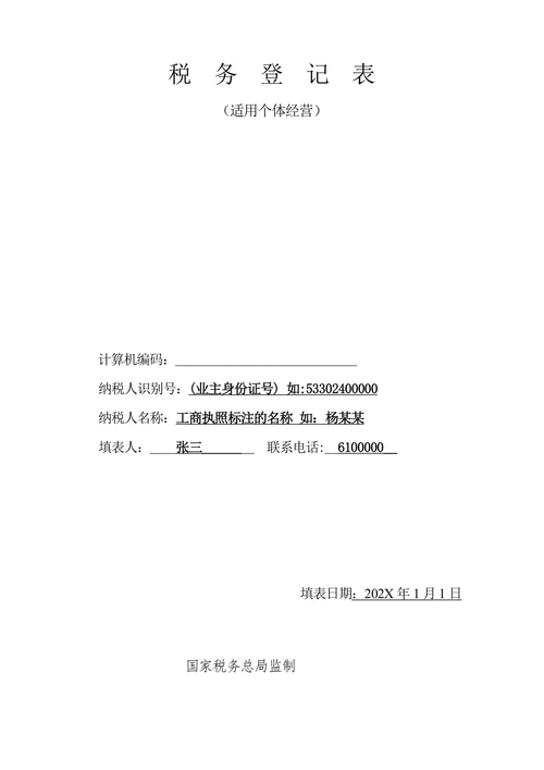 税务登记表填写样式