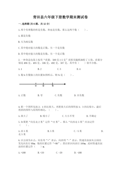 青田县六年级下册数学期末测试卷（精选题）.docx