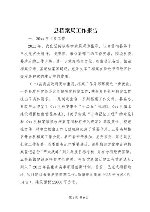 县档案局工作报告 (2).docx