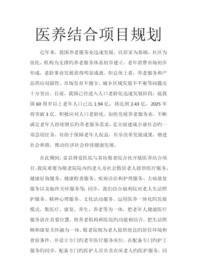 医养结合项目规划.docx