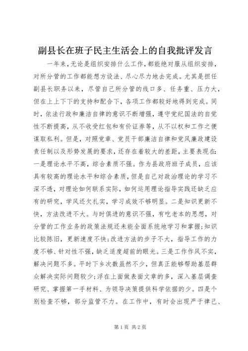 副县长在班子民主生活会上的自我批评发言 (2).docx