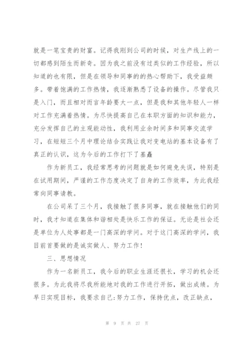 技术员试用期总结10篇.docx