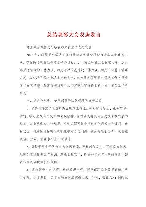 总结表彰大会表态发言