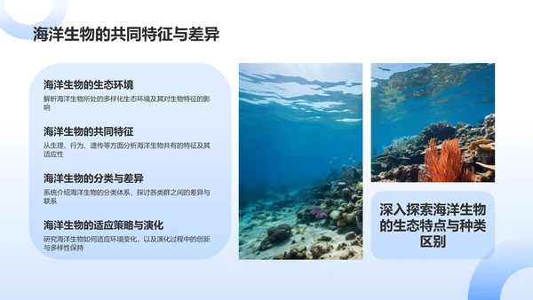 蓝色摄影风海洋生物知识科普PPT模板