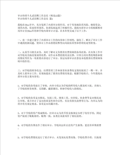 审计助理个人试用期工作总结精选15篇