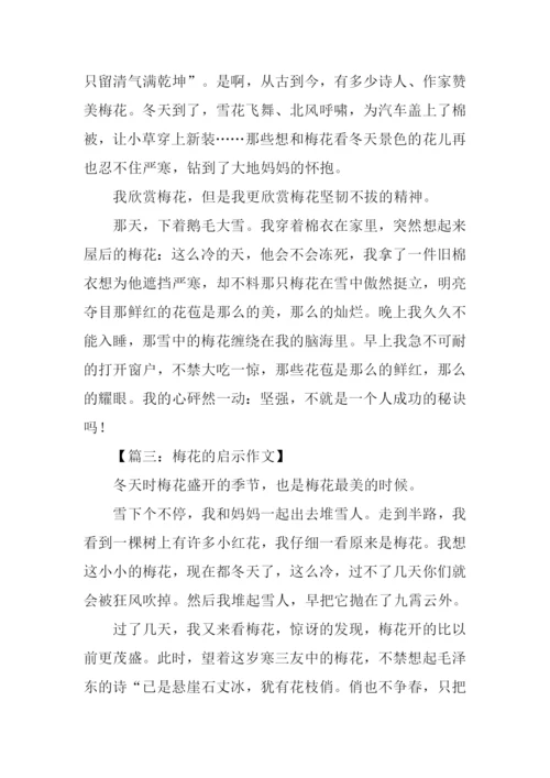 梅花的启示作文300字.docx