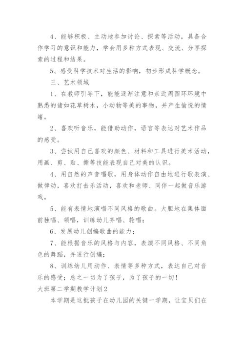 大班第二学期教学计划.docx