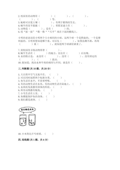 教科版一年级下册科学期末测试卷附答案【轻巧夺冠】.docx