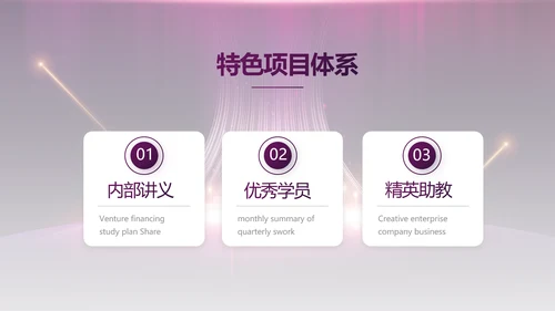 紫色公司品牌发布会策划方案工作总结PPT