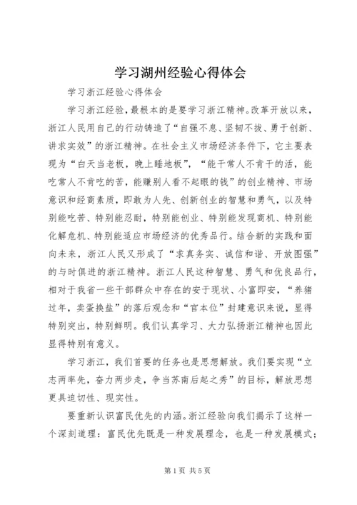 学习湖州经验心得体会 (5).docx