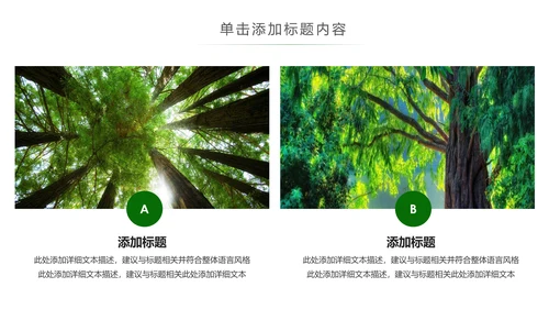 湿地森林世界湿地森林日植树造林动态PPT模板