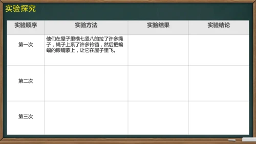 6 夜间飞行的秘密（课件）