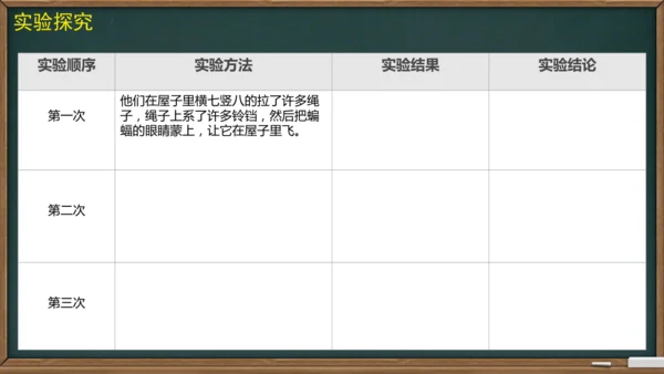 6 夜间飞行的秘密（课件）