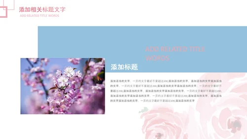 妇联三八妇女节年终工作总结汇报PPT模板
