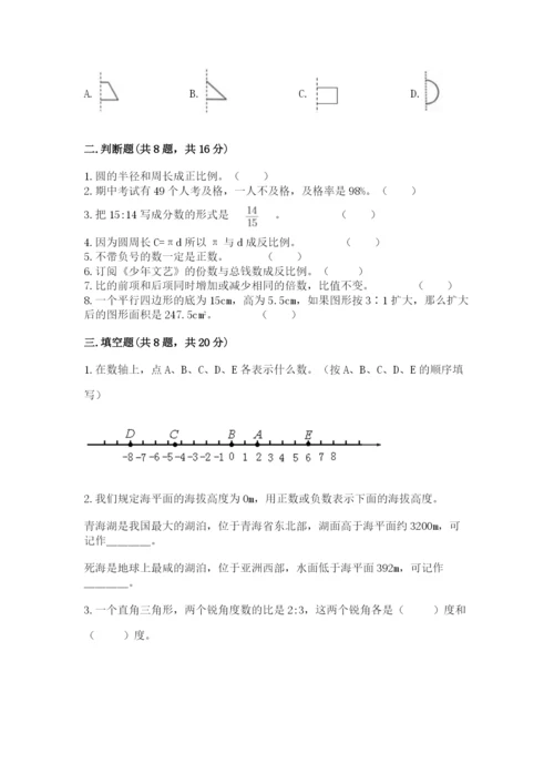 冀教版六年级下册期末真题卷及参考答案（培优）.docx
