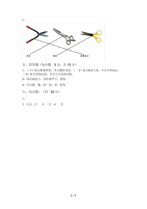 2021年教科版二年级科学上册期末考试及参考答案