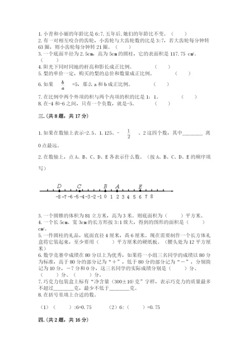 小学六年级数学摸底考试题（夺冠系列）.docx