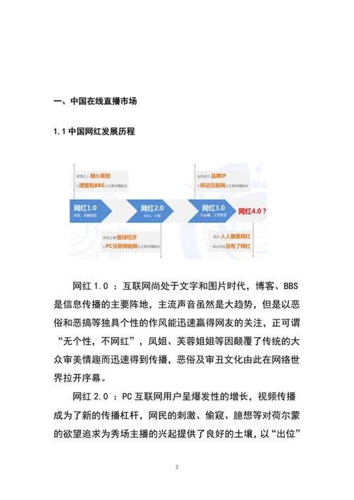 带货直播平台商业计划书