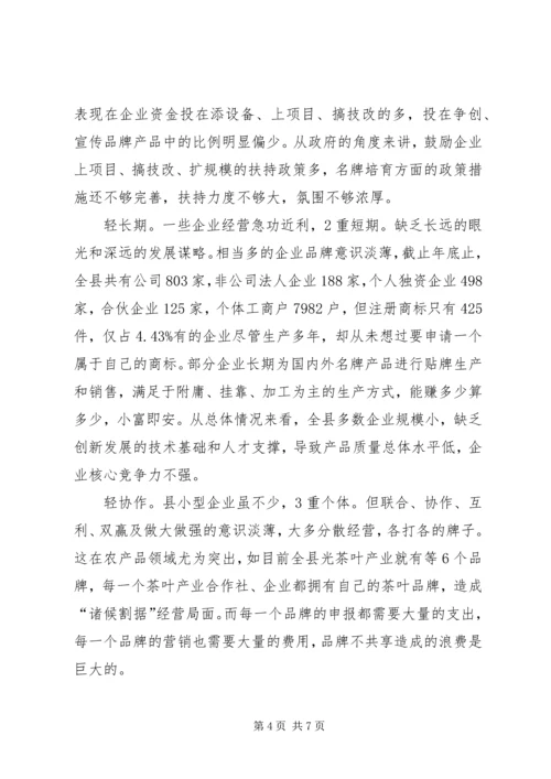 名牌质量提升调研报告 (2).docx