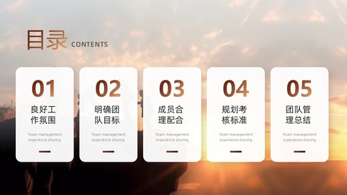 棕色简约风团队管理经验分享PPT模板