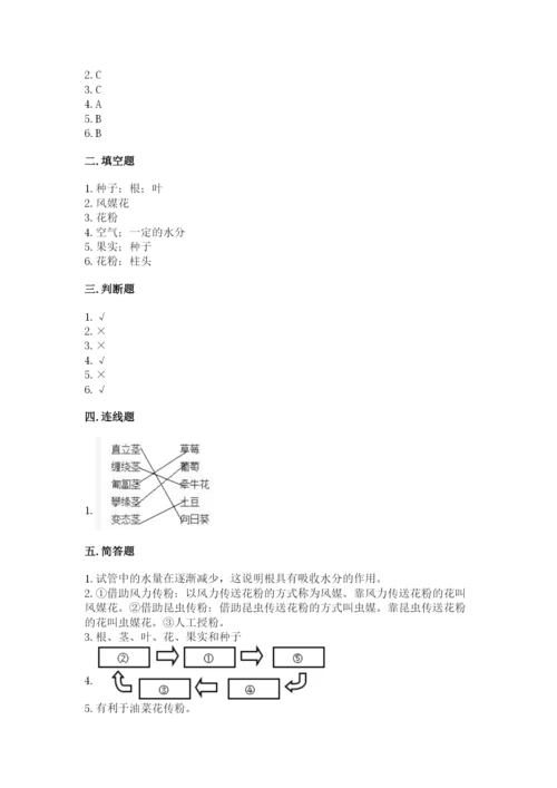 科学四年级下册第一单元植物的生长变化测试卷（巩固）.docx