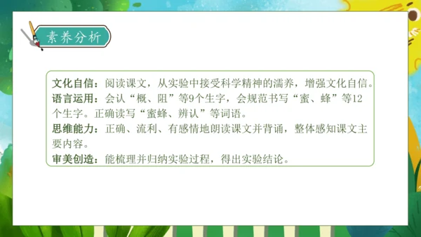 【核心素养】部编版语文三年级下册-14. 蜜蜂 第1课时（课件）