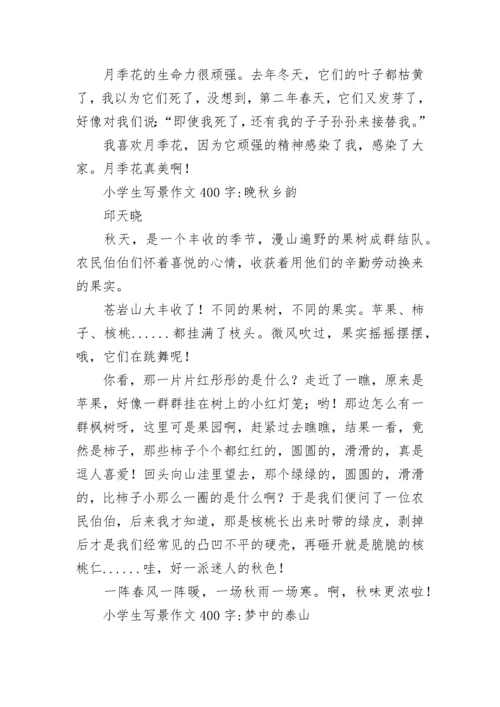 小学生写景作文400字.docx