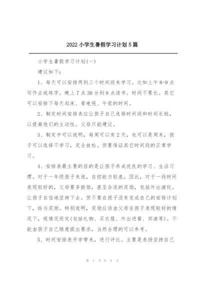 2022小学生暑假学习计划5篇.docx